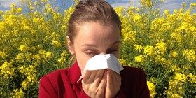 La DGT ya ve venir las alergias y te dice qué no tienes que hacer