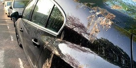 Ford inventa una “caca artificial” para poner a prueba la pintura de sus coches