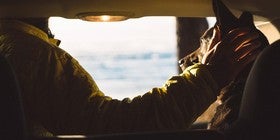 Esto que haces mal con tu perro viajando en coche puede ser muy peligroso