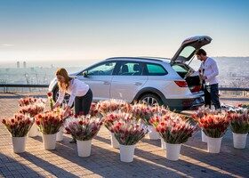 Un Seat León X-Perience se llena con 1.500 rosas