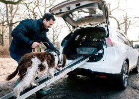 El Nissan X-Trail 4Dogs es el coche perfecto para transportar mascotas.