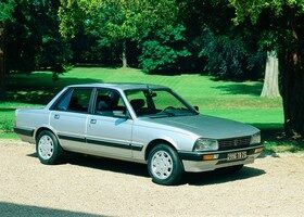 Aniversario del Peugeot 505 (1)