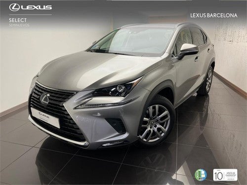 LEXUS NX SUV EXECUTIVE 4WD 2.5 Híbrido Gasolina (197CV) Tra