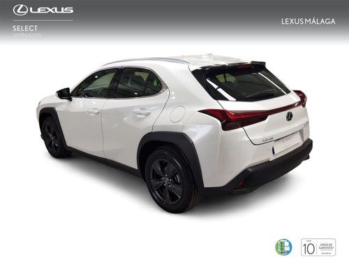 Lexus UX 2.0 250h Business