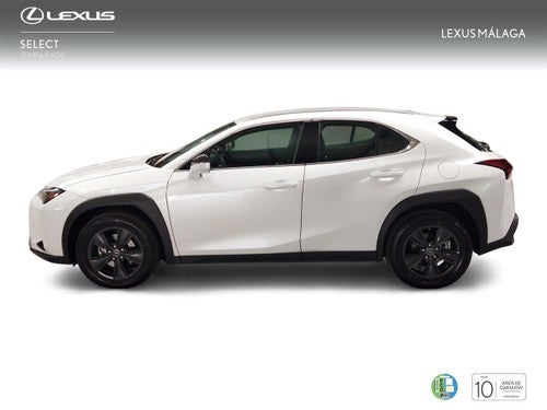 Lexus UX 2.0 250h Business