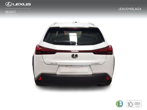 Lexus UX 2.0 250h Business