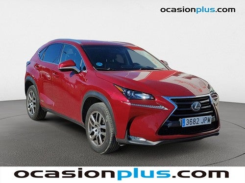 LEXUS NX 2.5 300h Executive 4WD Tecno + Navibox