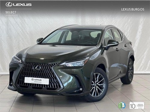 LEXUS NX SUV BUSINESS 2.5L Hibrido HEV Transmisión Automati