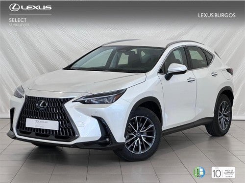 LEXUS NX SUV BUSINESS 2.5L Hibrido HEV Transmisión Automati