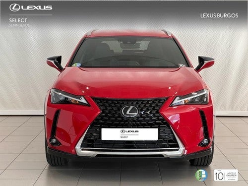 LEXUS UX SUV PREMIUM 2.0 L Híbrido (2WD)