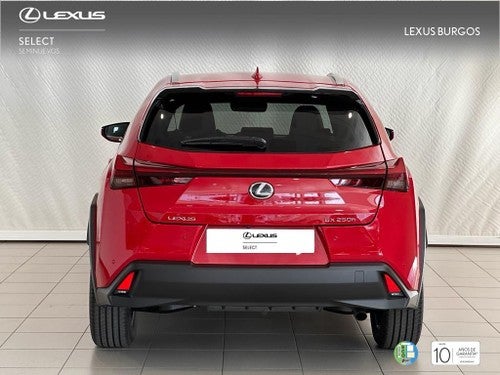 LEXUS UX SUV PREMIUM 2.0 L Híbrido (2WD)