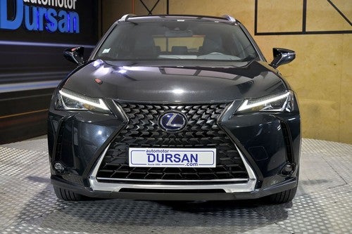 Lexus UX 300e Business