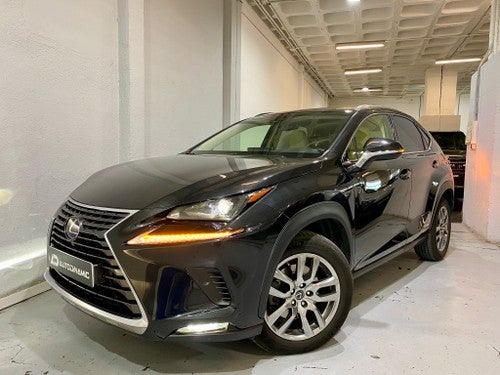 LEXUS NX 300h Executive Navigation 4WD