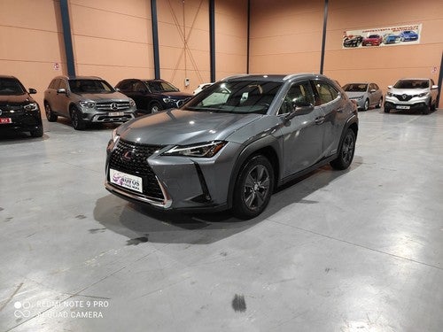 LEXUS UX 250h Business 2WD