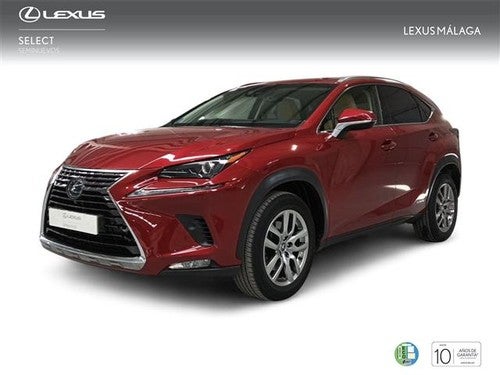 LEXUS NX 300h Executive Navigation 4WD