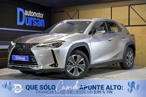 LEXUS UX 300e Business