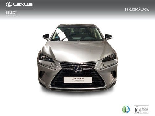 LEXUS NX 2.5 300h Sport Edition 2WD