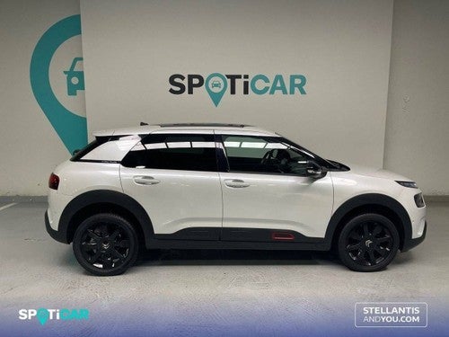 Citroën C4 Cactus PureTech 81KW (110CV) S&S EAT6 Shine