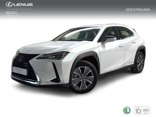 LEXUS UX 300e Executive