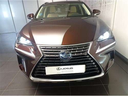 LEXUS NX 300h Executive Navigation 4WD