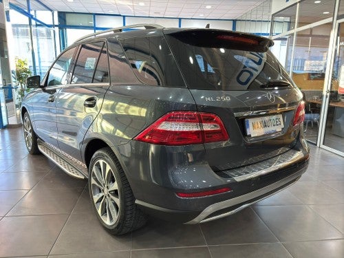 MERCEDES-BENZ Clase M ML 250BlueTec 4M 7G Plus (9.75)