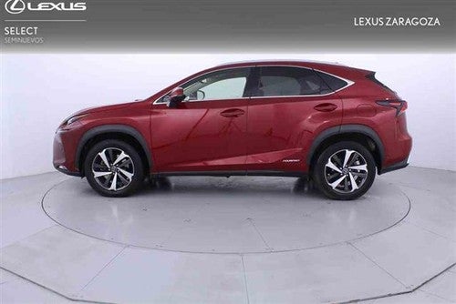 LEXUS NX 300h Luxury Kick Power 4WD