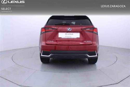 LEXUS NX 300h Luxury Kick Power 4WD