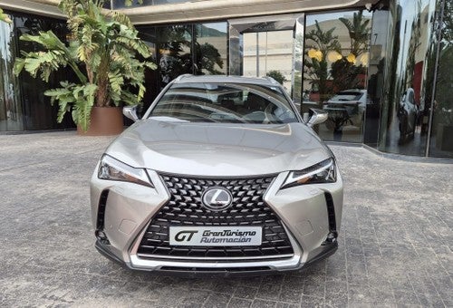 LEXUS UX 250h Business 4WD