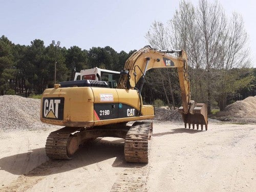 CAT 319 D L