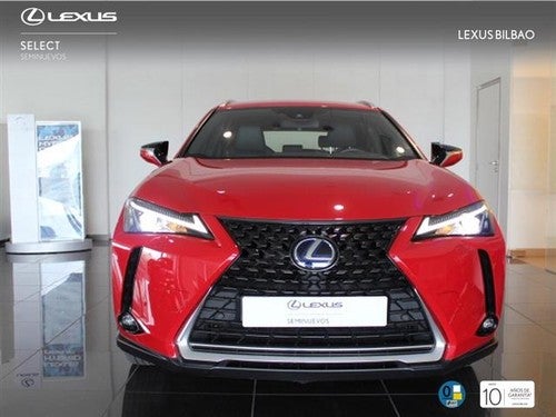 LEXUS UX 300e Business