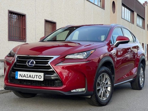 LEXUS NX 300h Corporate 2WD + Navibox