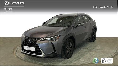 LEXUS UX 250h Business Navigation 4WD