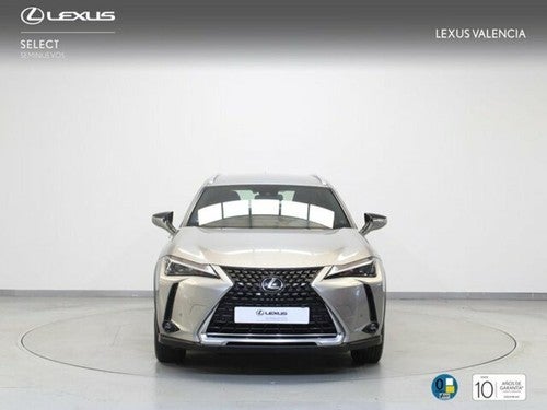 Lexus UX 300e BUSINESS CITY BUSINESS CITY