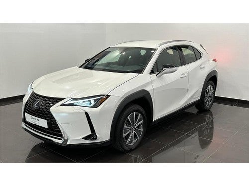 LEXUS UX 300e Business