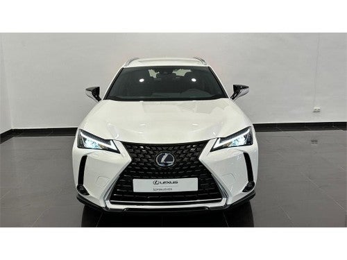 LEXUS UX SERIES UX 300e Business