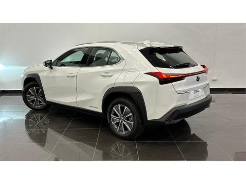 LEXUS UX SERIES UX 300e Business