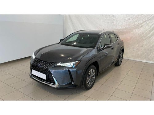 LEXUS UX 300e Business