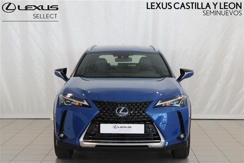 LEXUS UX SERIES UX 300e Business