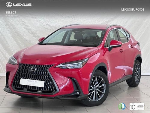 LEXUS NX 350h Business City 4WD