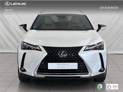 LEXUS UX SUV PREMIUM 2.0 L Híbrido (2WD)