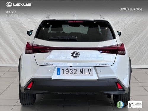 LEXUS UX SUV PREMIUM 2.0 L Híbrido (2WD)