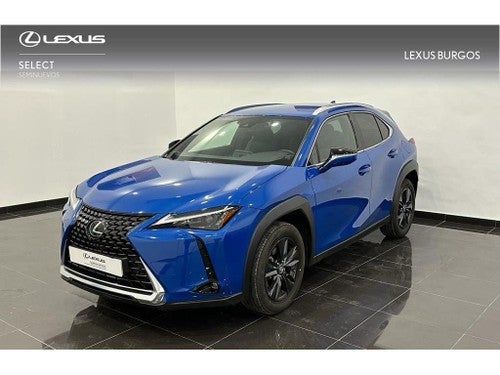 LEXUS UX SUV PREMIUM 2.0 L Híbrido (2WD)