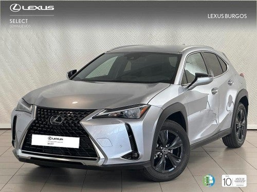 LEXUS UX SUV PREMIUM 2.0 L Híbrido (2WD)