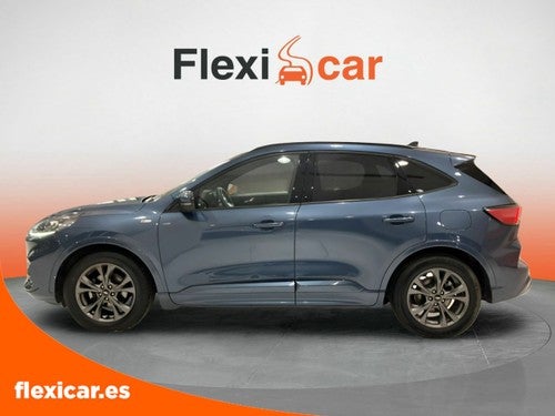 Ford Kuga ST-Line 1.5 EcoBlue 88kW (120CV)