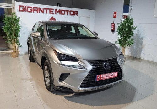 LEXUS NX 300h Business 2WD