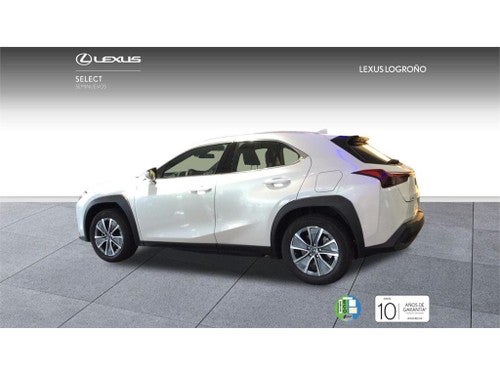 LEXUS UX BUSINESS CITY