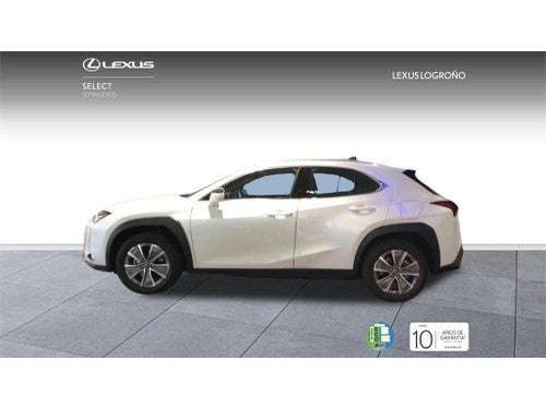 LEXUS UX BUSINESS CITY