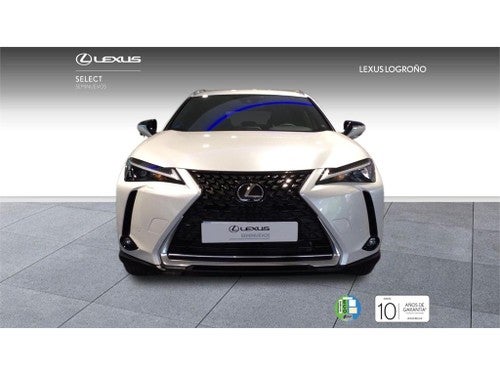 LEXUS UX BUSINESS CITY