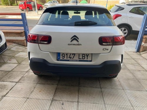 CITROEN C4 Cactus 1.5BlueHDi S&S Live 100