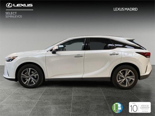 LEXUS RX BUSINESS